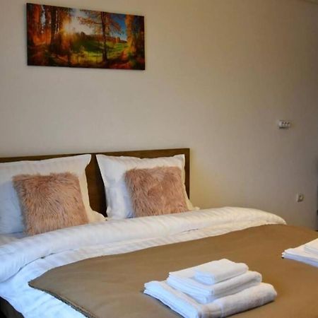 Pricop Residence Baia Mare Dış mekan fotoğraf