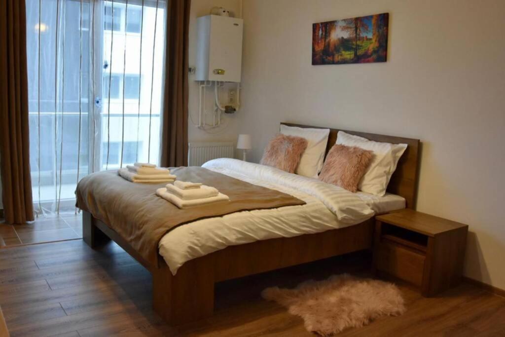 Pricop Residence Baia Mare Dış mekan fotoğraf
