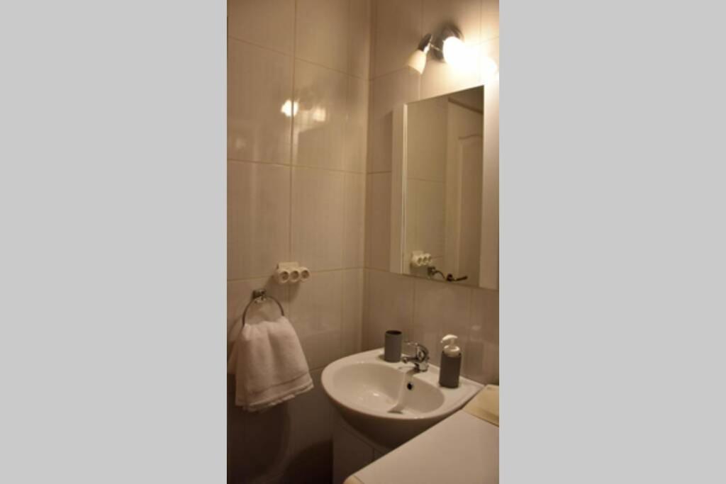 Pricop Residence Baia Mare Dış mekan fotoğraf
