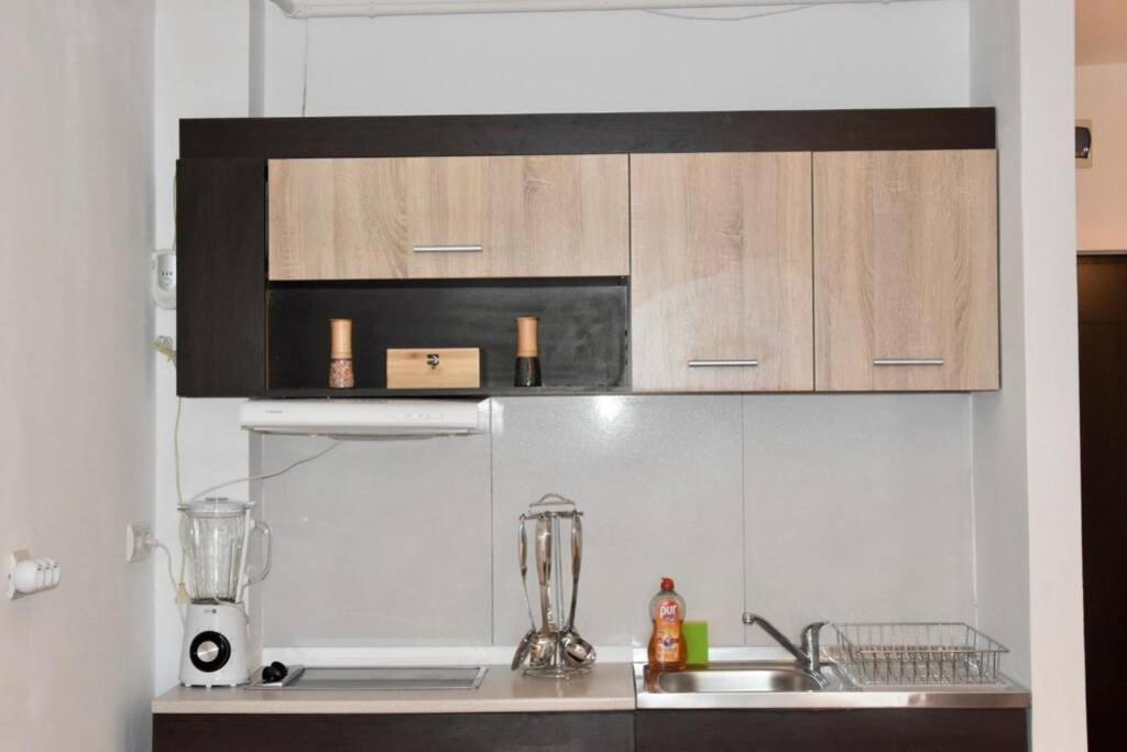 Pricop Residence Baia Mare Dış mekan fotoğraf