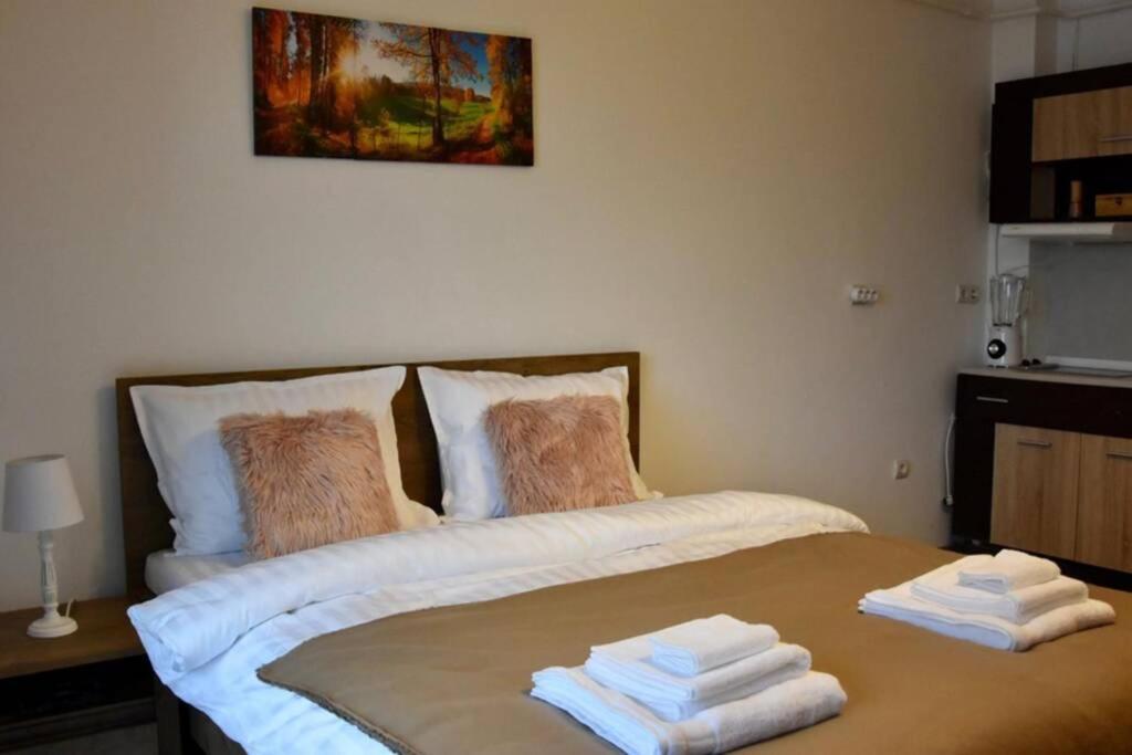 Pricop Residence Baia Mare Dış mekan fotoğraf