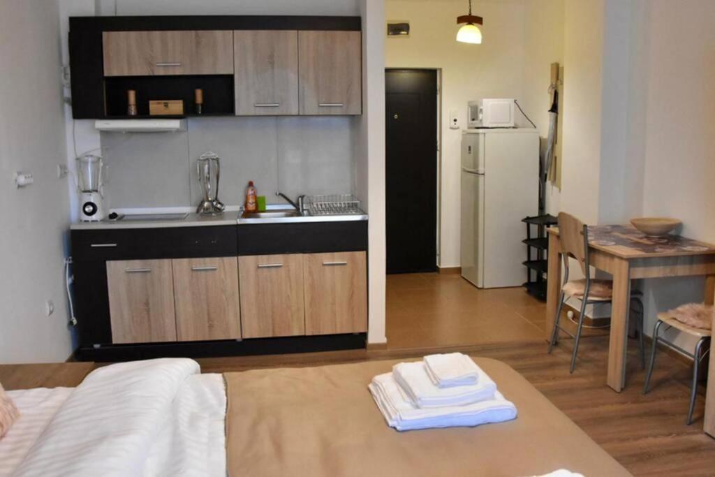 Pricop Residence Baia Mare Dış mekan fotoğraf